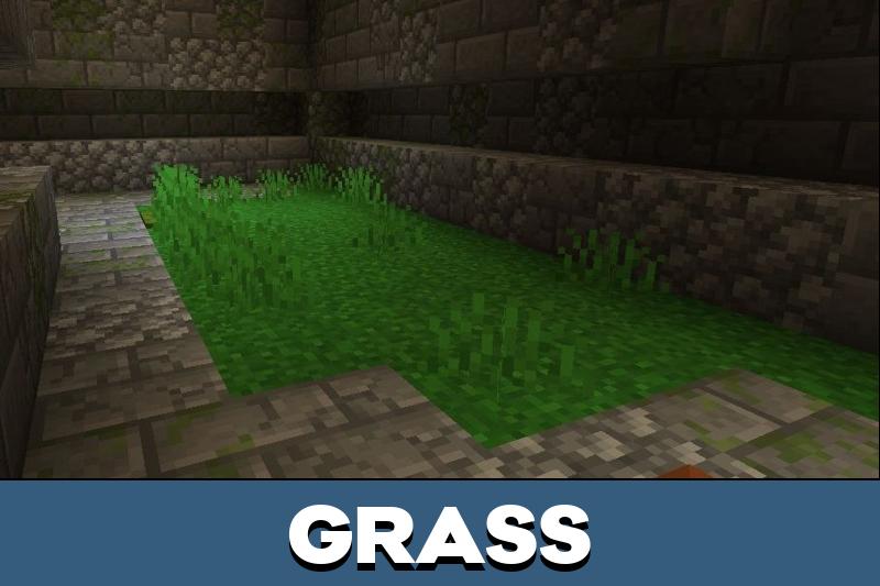 Temple Puzzles Map 5