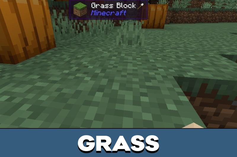 What Am I Looking At 1