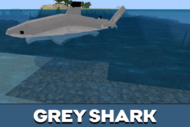 Shark 2