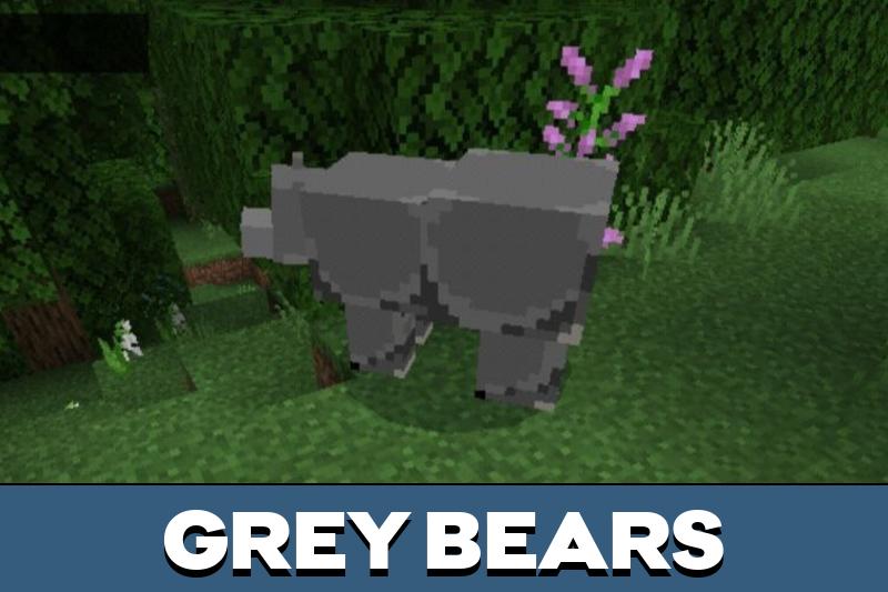 Bear 2