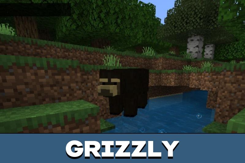 Bear 1
