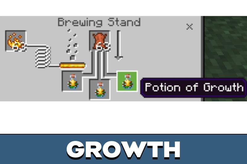 Size Potions 5