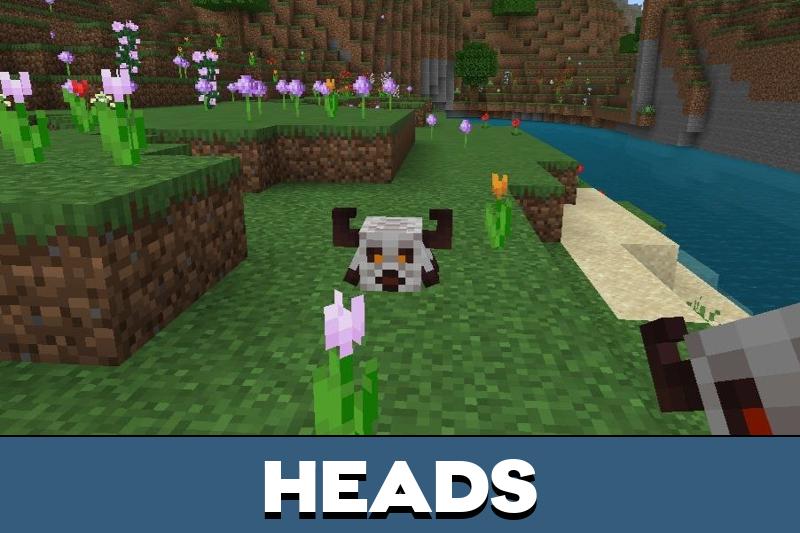 Creeper 6