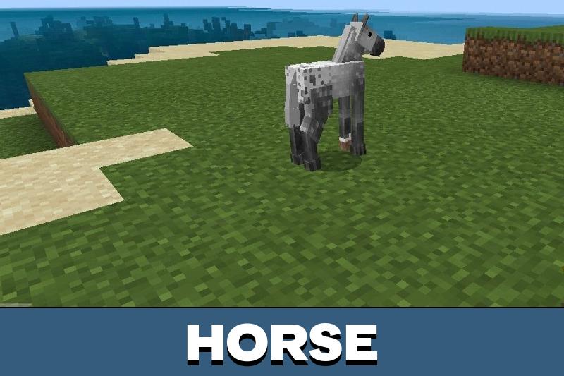 Animal Texture Pack 3
