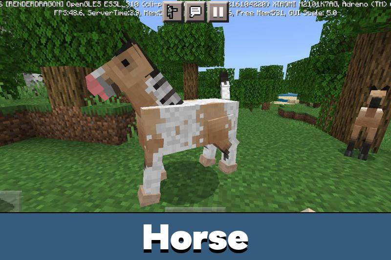Horse Texture Pack 1