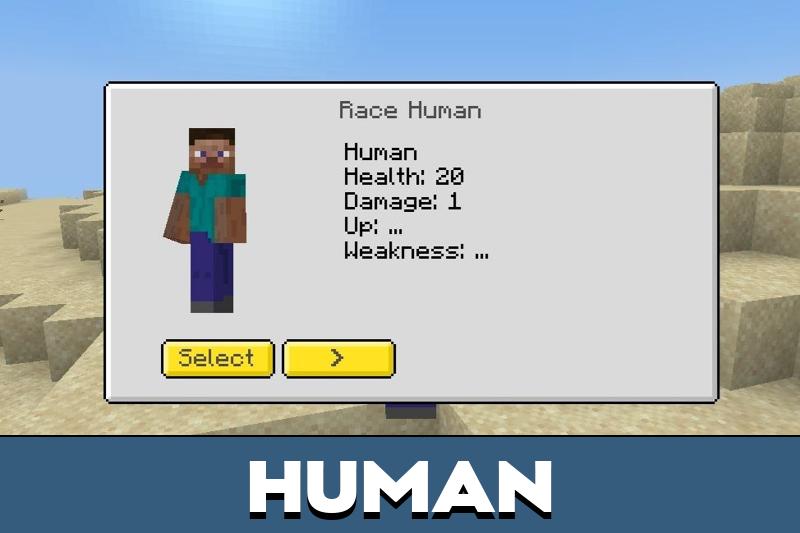 Races 2