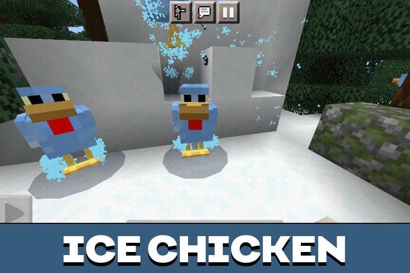 Chicken 3