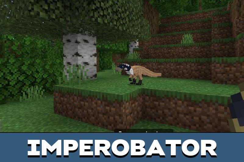 Kerfees Expansion 4
