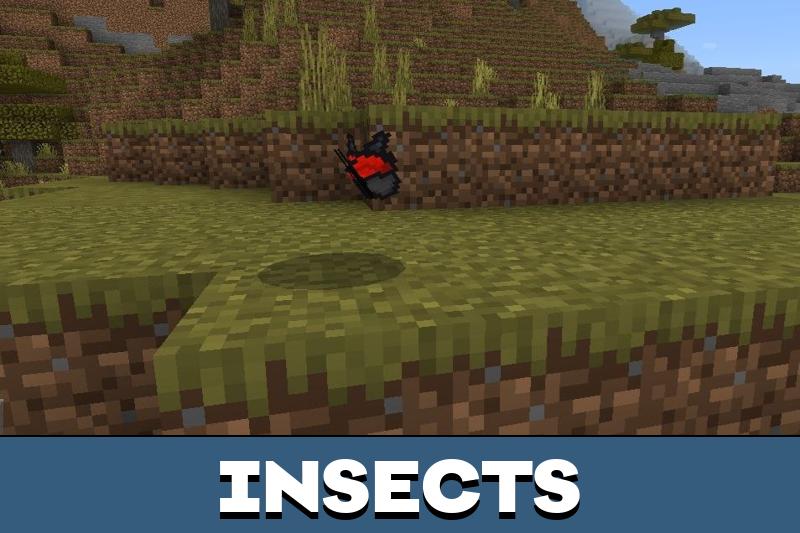 Bat Texture Pack 2