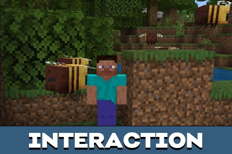Bee Texture Pack 4