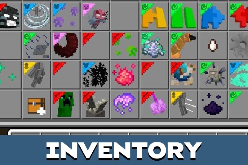 Reborne 1