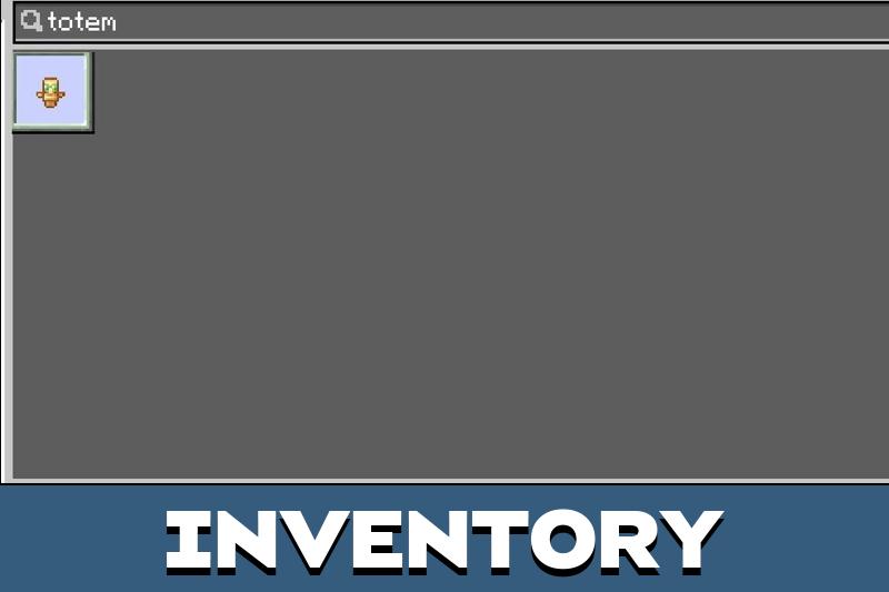 Small Totem Texture Pack 4