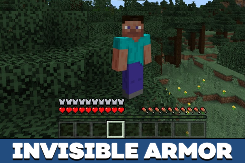 Invisible Armor Texture Pack 3