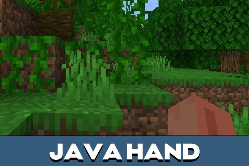 Hands 2