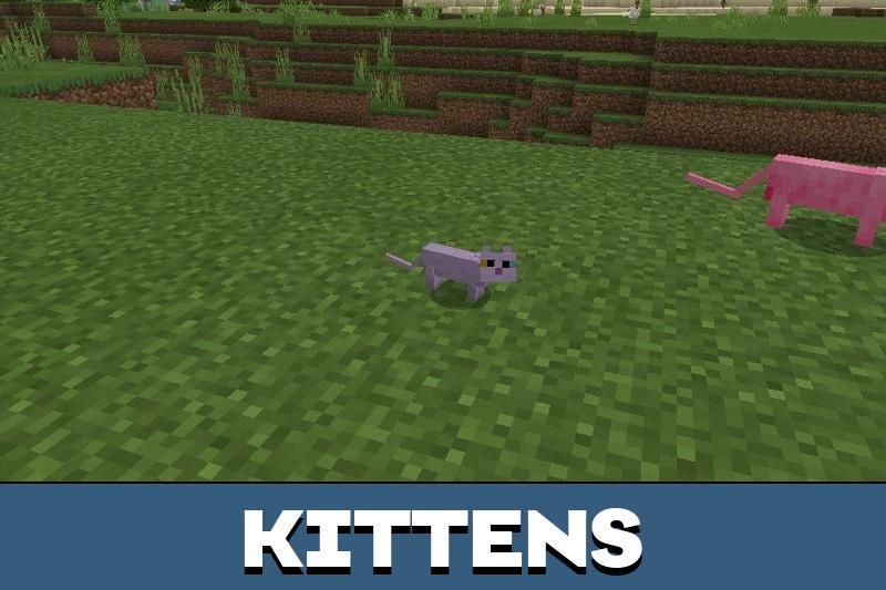 Cat Texture Pack 3