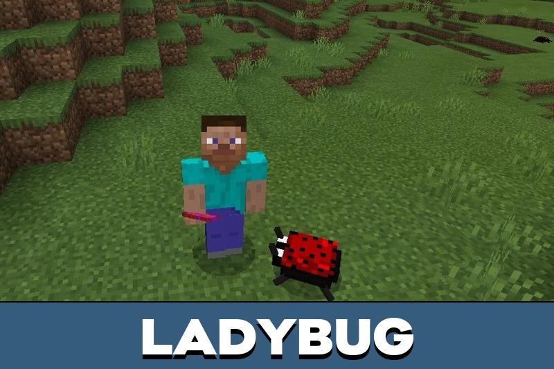 Bug 1
