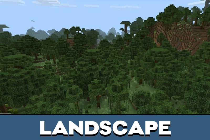 Jungle 4