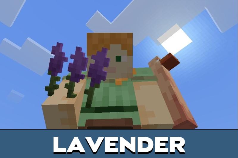 Wilder World 3