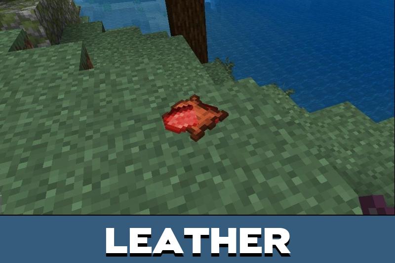 Dropped Items 3