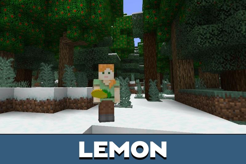 Apple 4