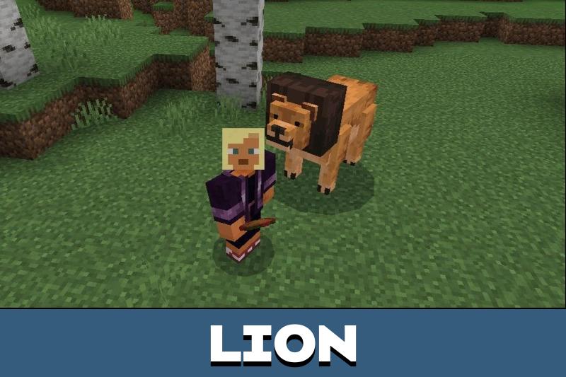 Safari Animals 1