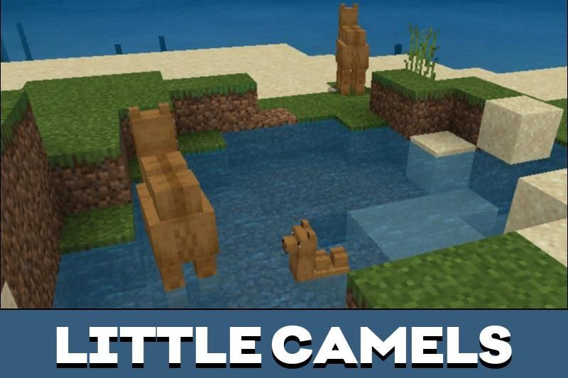 Camel 2