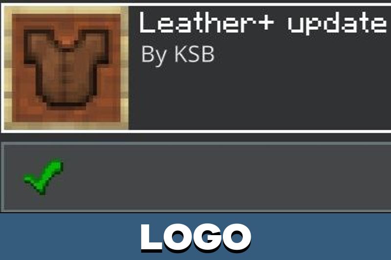 Leather 4