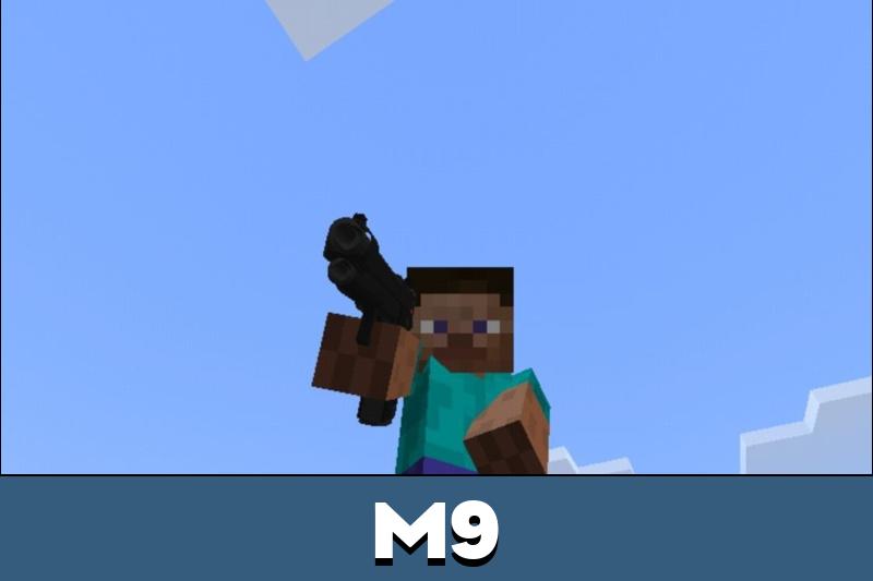 Firearms 1