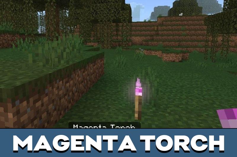 Dynamic Torch 3