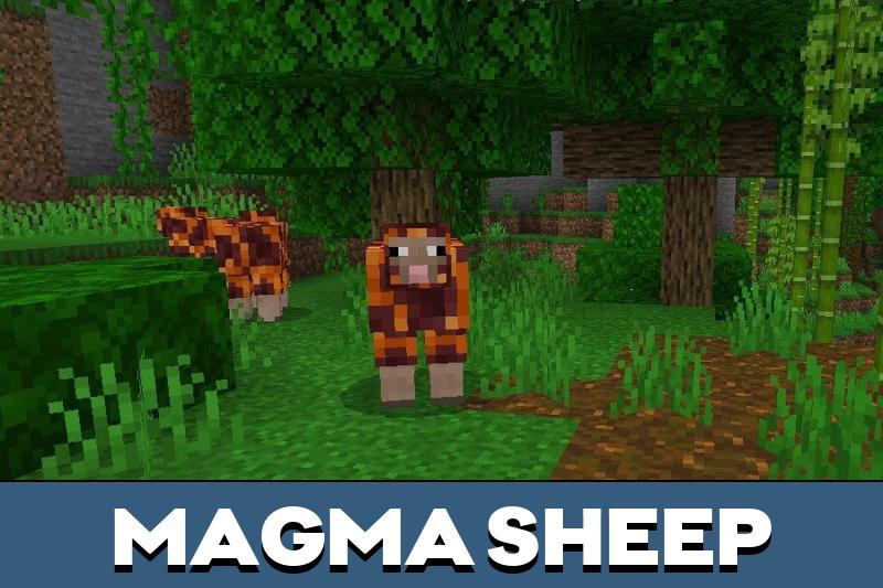 Sheep 1