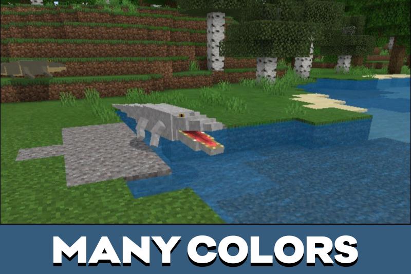 Crocodile 2