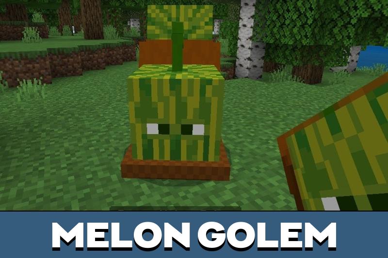 Villager Soldier 6
