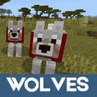 Wolf 5
