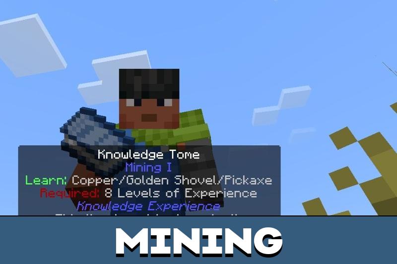 Knowledge Experience 3