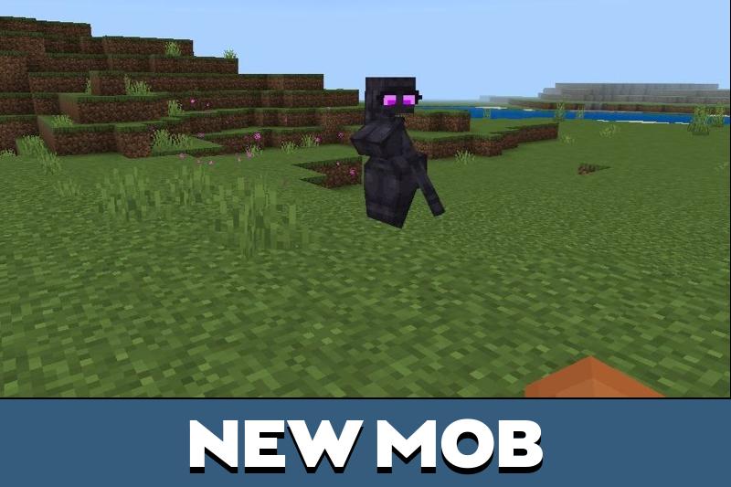 Enderwoman 3