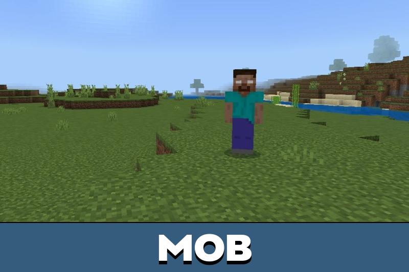 Herobrine 6
