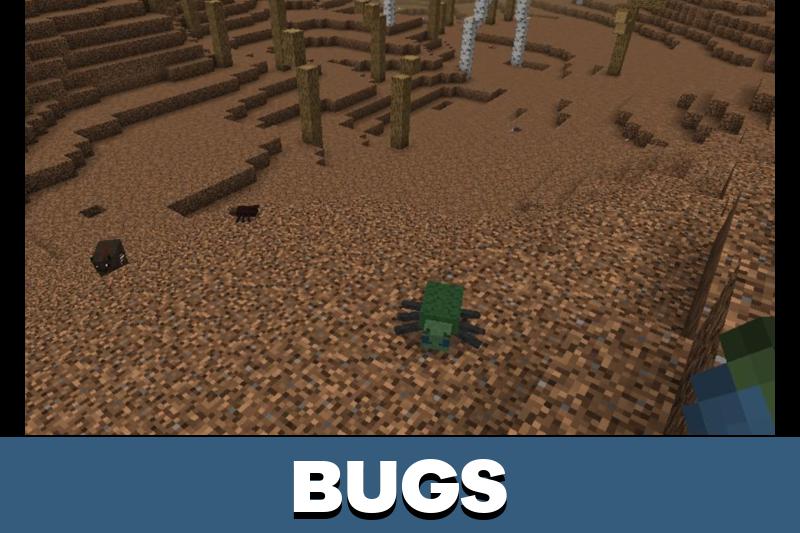 Bug 5