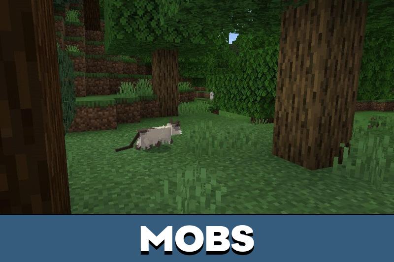 Cat Texture Pack 2