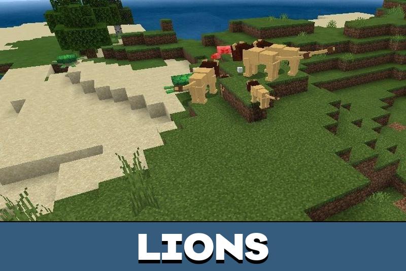 Lion 2