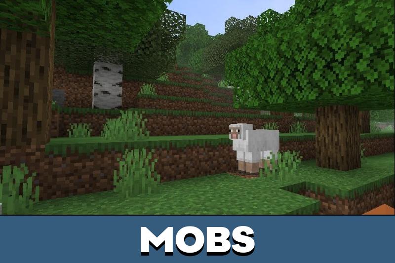 Nova Shader 5