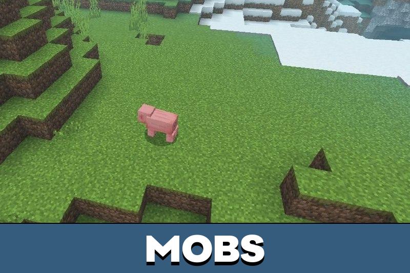 NRRDS Shader 5