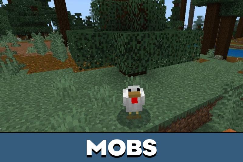 Seus Shaders 5