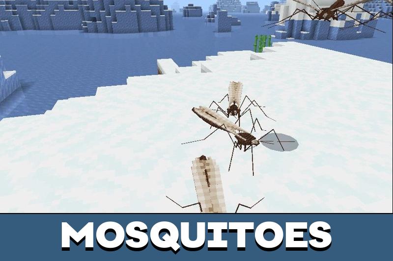 Star Insects 4