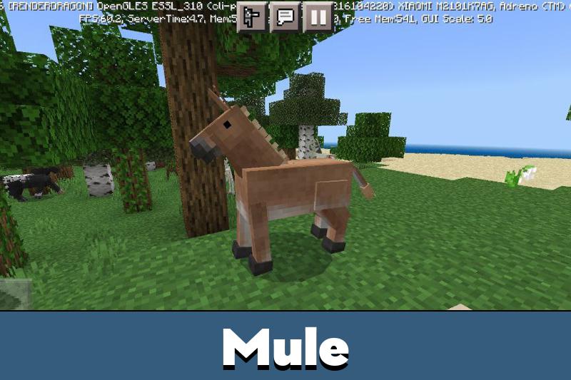Horse Texture Pack 4