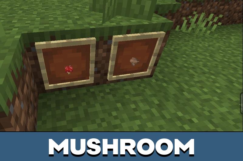 Crops Texture Pack 5