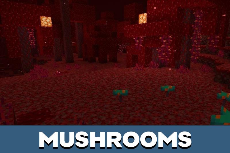 Nether 3