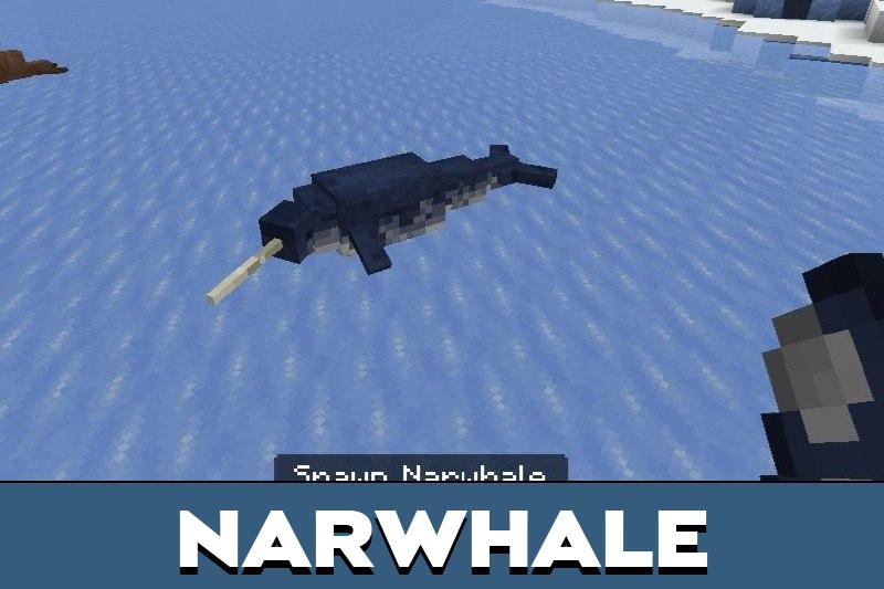 Far North 5