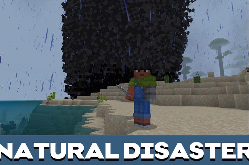 Realistic Survival 4