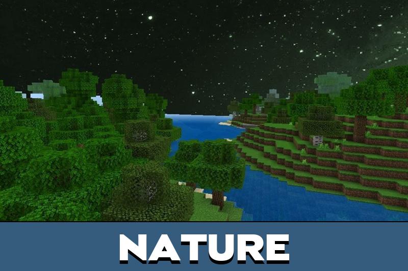 Forest Texture Pack 2