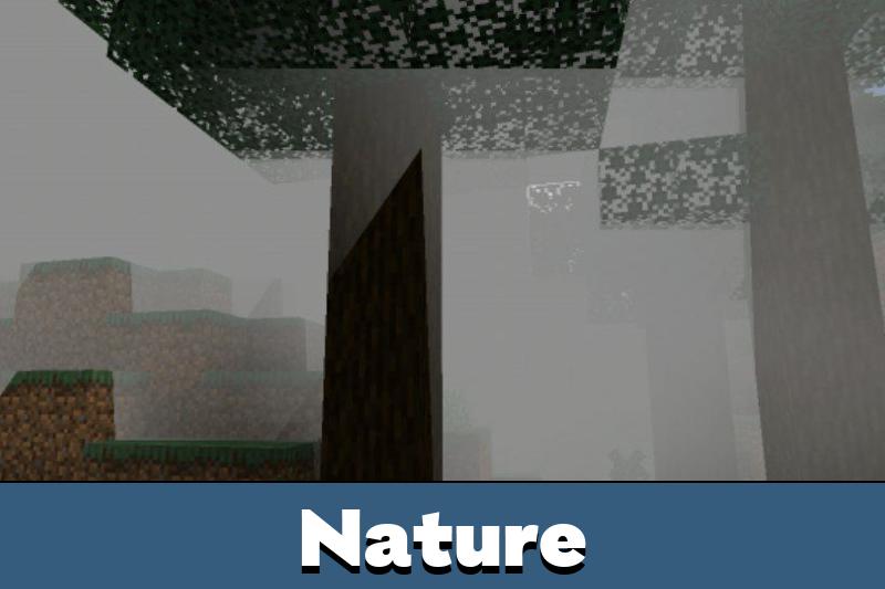 Fog 3